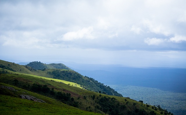 吸引了大量 吸引了大量