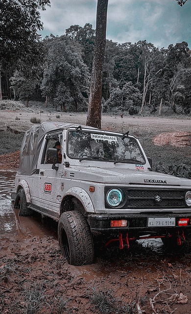 利拉德这三 利拉德这三