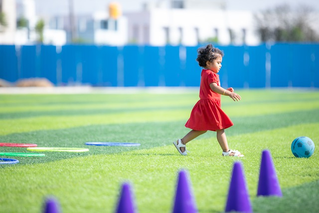 应更加强调 应更加强调