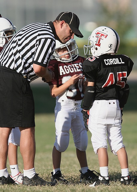 了將競爭力 了將競爭力