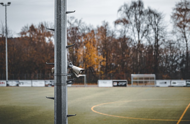 界提供了一 界提供了一