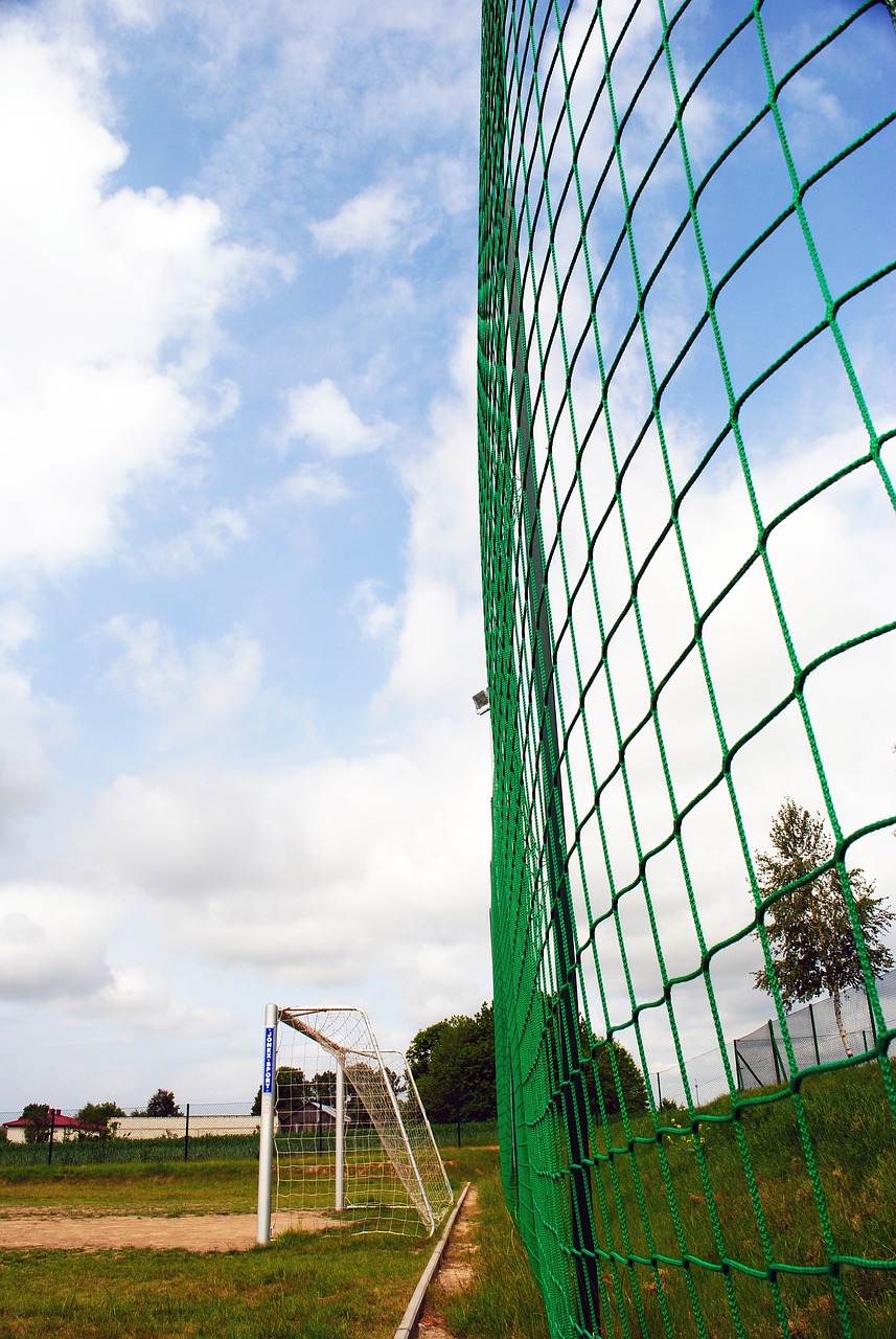 正式合同已 正式合同已